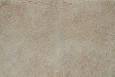 Pair of Slipper Chairs in Off White Ponyskin Europe 1960s