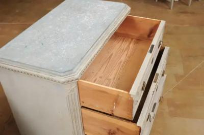 Pair of Swedish Gustavian Style 1890s Painted Chests with Carved Stars