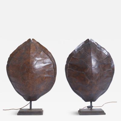 Pair of Tortoiseshell Table Lamps