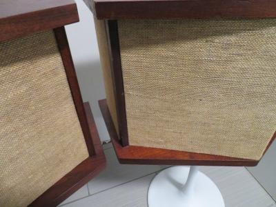 Pair of Walnut Bose Speakers Equalizer Tulip Base by Eero Saarinen