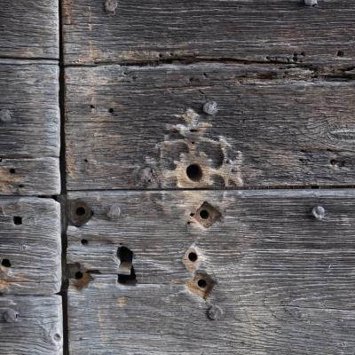Pair of ancient wooden doors France
