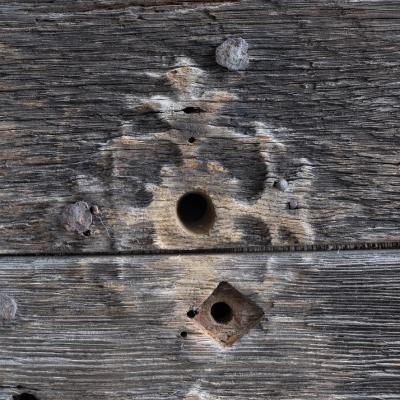 Pair of ancient wooden doors France