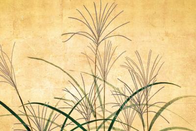 Pair ofJapanese Six Panel Screens Rimpa Flower Landscapes