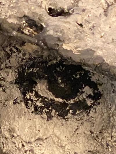 Palatial Sculpture of Henri Robert Marcel Duchamp by Ursula Meyer