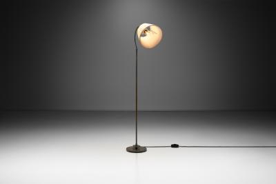 Patinated Brass Floor Lamp with Curved Neck Europe 20th century