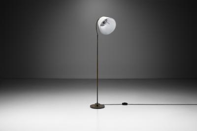 Patinated Brass Floor Lamp with Curved Neck Europe 20th century