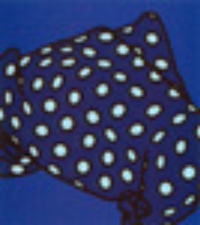 Patrick Caulfield Some Poems of Jules Laforgue Shell have forgotten her scarf Edition A 1973