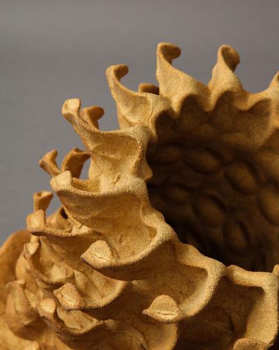 Paul Briggs Windflower