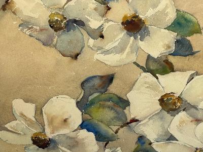 Paul J Immel Watercolor on Paper Paul Immel 1896 1964 white flowers in a blue bowl