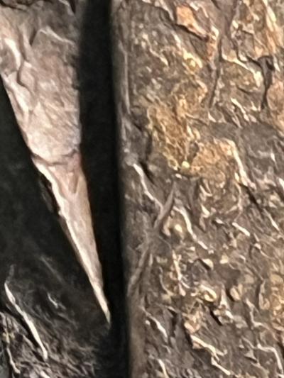 Paul Kiss MAGNIFICIENT FRENCH ART DECO WROUGHT IRON TRIFOLD MIRROR