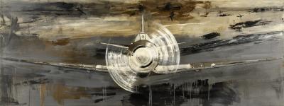 Paul Manes Untitled Plane