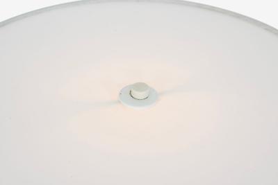 Paul Mayen Chromed Brass Acrylic Table Lamp by Paul Mayen for Habitat 1955c 