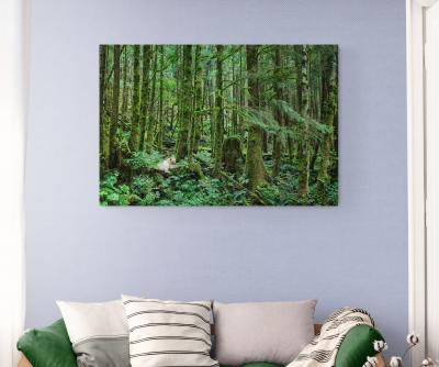 Paul Nicklen COASTAL SPIRIT 6 15 