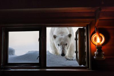 Paul Nicklen FACE TO FACE