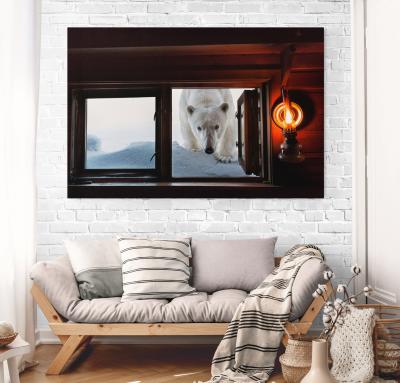 Paul Nicklen FACE TO FACE