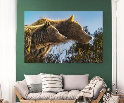 Paul Nicklen GOLDEN BOND 3 10 