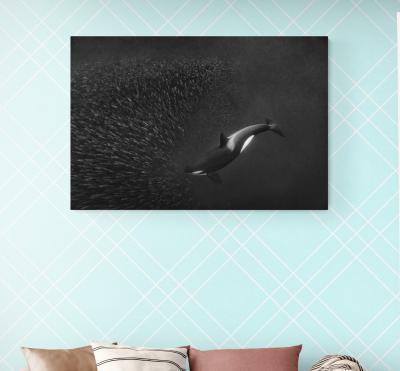 Paul Nicklen ORCA BALLET 10 