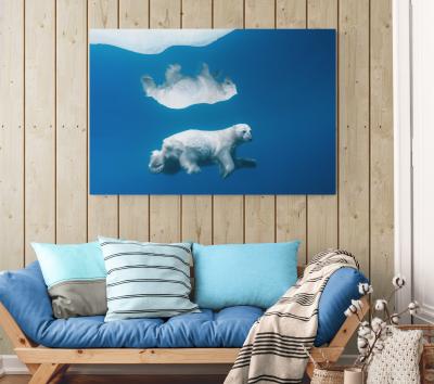 Paul Nicklen POLAR REFLECTIONS 15 