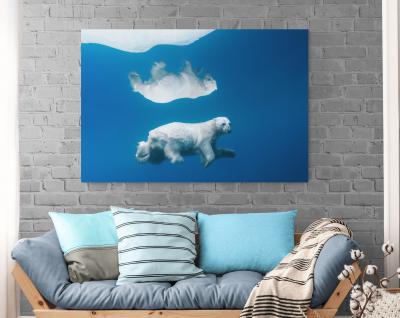 Paul Nicklen POLAR REFLECTIONS 15 