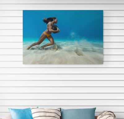 Paul Nicklen ROCK RUNNER 15 