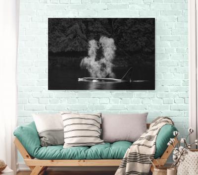 Paul Nicklen Rising 10 