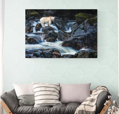 Paul Nicklen THE WAITING GAME