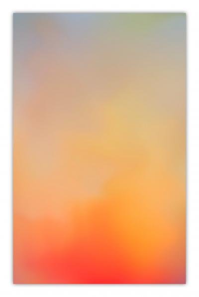 Paul Snell Bleed 202610