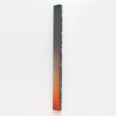 Paul Snell Flux 202601