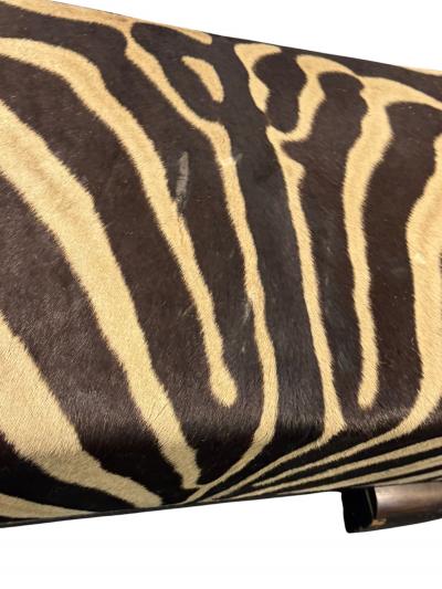 Paul T Frankl ART DECO ZEBRA SKIN BENCH IN CURVED WOOD FRAME BY PAUL FRANKL
