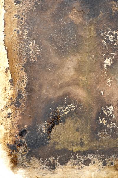 Paul Wadsworth Brown and White Abstract