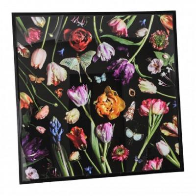 Paulette Tavormina Tulips Photograph by Paulette Tavormina