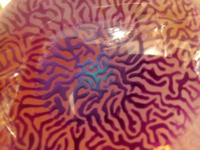 Pauline Couble Ocean creature resin sculpture by Pauline Couble