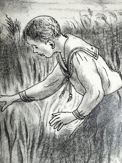 Peggy Margaret Frances Bacon Searching in the Tall Grass Book Illustration by Woman Illustrator Americana