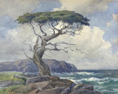 Percy Gray Cypress and Carmel Bay