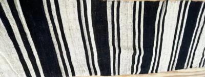 Persian Mazanderan Kilim Long Runner