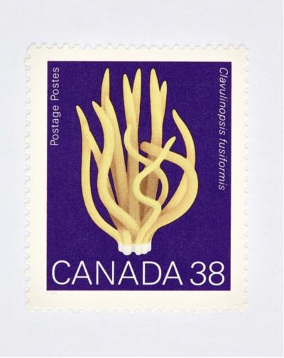 Peter Andrew Lusztyk Canada 38 Mushroom Stamp Purple 