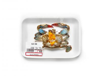 Peter Andrew Lusztyk Still Life Blue Crab