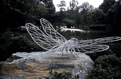 Peter Busby DRAGONFLY 2001