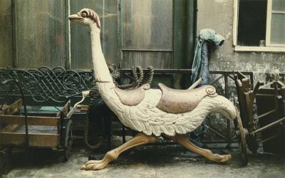 Peter Cornelius Paris Ostrich