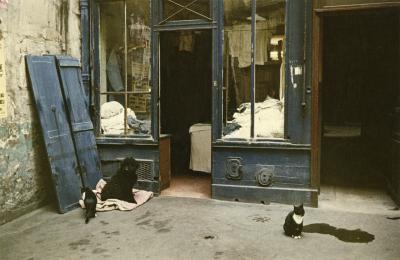 Peter Cornelius Parisian Blue