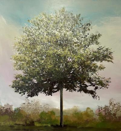 Peter Hoffer Elderberry