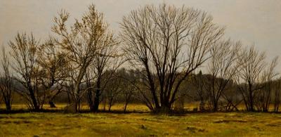 Peter Sculthorpe Buttonwoods in Autumn
