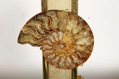 Peter Van Heeck 1970s bronze lamp with ammonite by Peter Van Heeck
