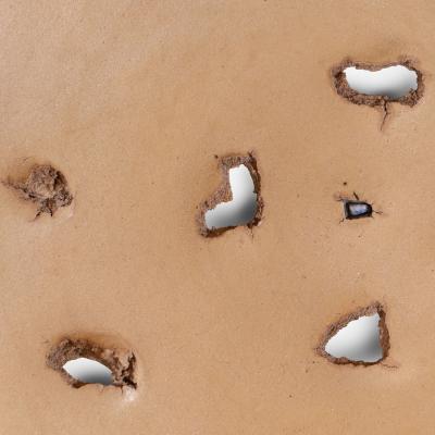 Peter Voulkos Charger with Porcelain Piercings