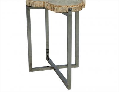 Petrified Wood Accent Table
