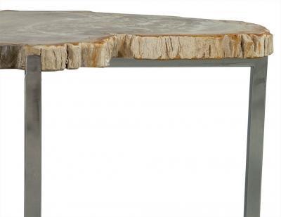Petrified Wood Accent Table