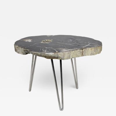 Petrified Wood Coffee Table on Stainless Steel Feet Organic Modern