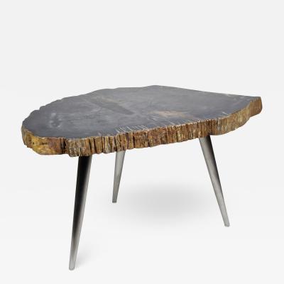 Petrified Wood Coffee Table or Side Table with Stainless Steel Feet