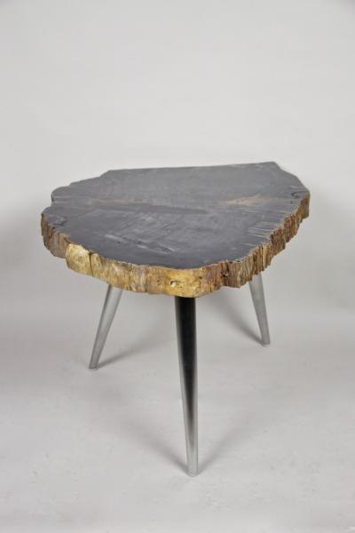 Petrified Wood Side Table with Stainless Steel Feet Organic Modern IDN 2021