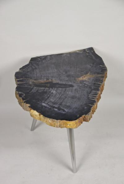 Petrified Wood Side Table with Stainless Steel Feet Organic Modern IDN 2021